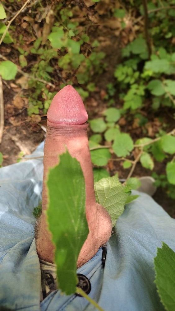 Kissing the tree with my dick #6
