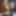 Ücretsiz Lady Maia Fotoğrafları