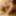 22 cm Mirror Play: Don't Miss This Close Up! #3