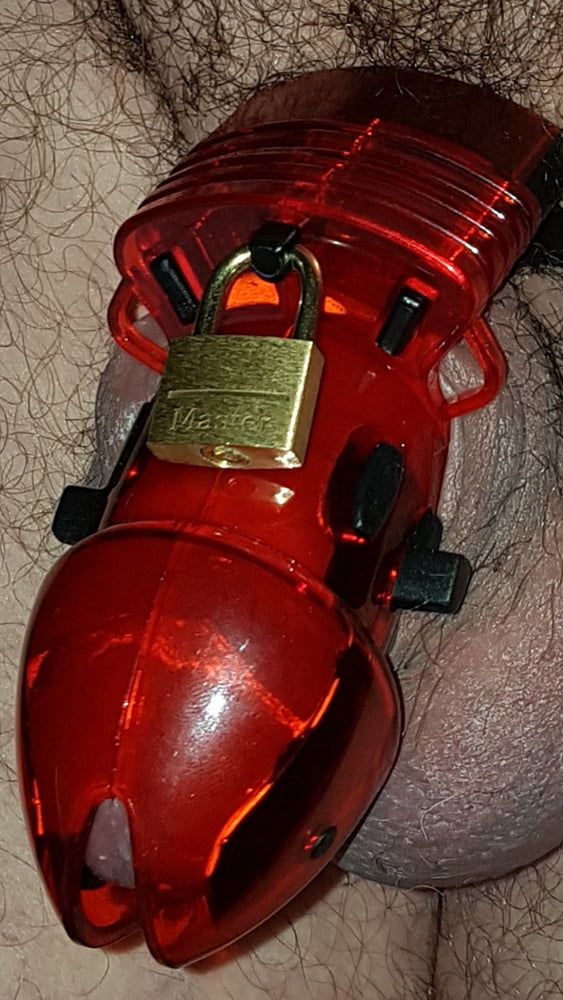 Chastity cage #9