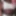 Anoniema Rose - The most wanted 2024