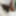 Neues vom See 16.08.2020