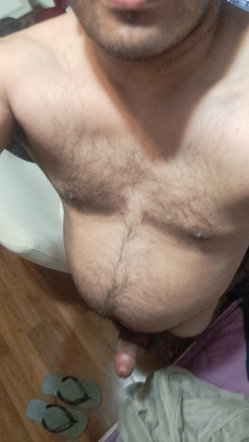 Bengali Canadian cock #2