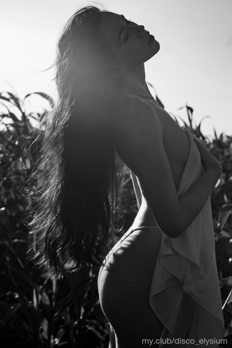 Luna  Free Photos #3