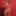 Kelsi Monroe and AJ Applegate Sexy Photo Shoot #4