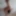 Tygra naked bitch. #2