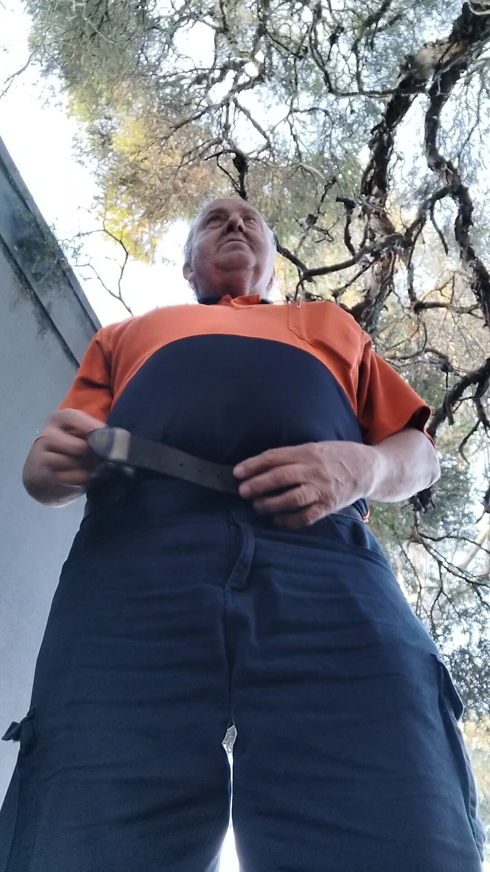 Grandpapiggy 1 #16
