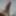Pics of my cock