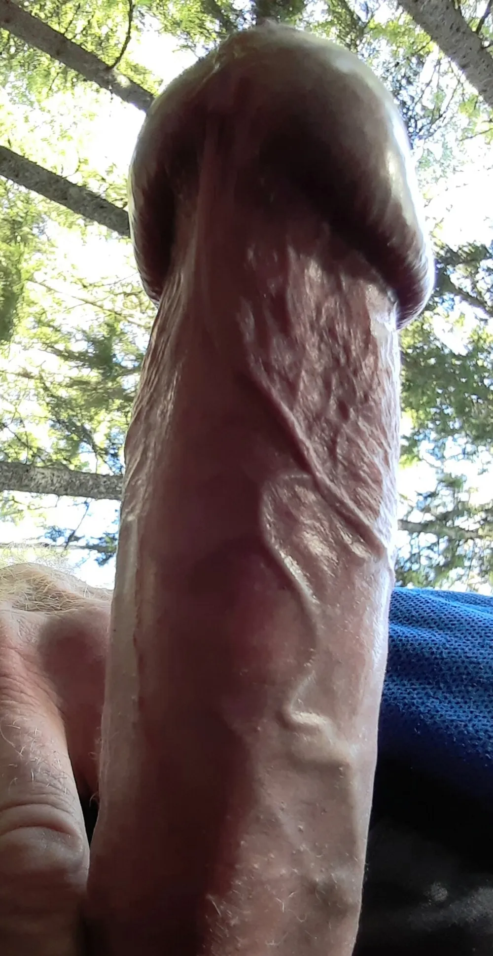 Big cock pics 3 #2