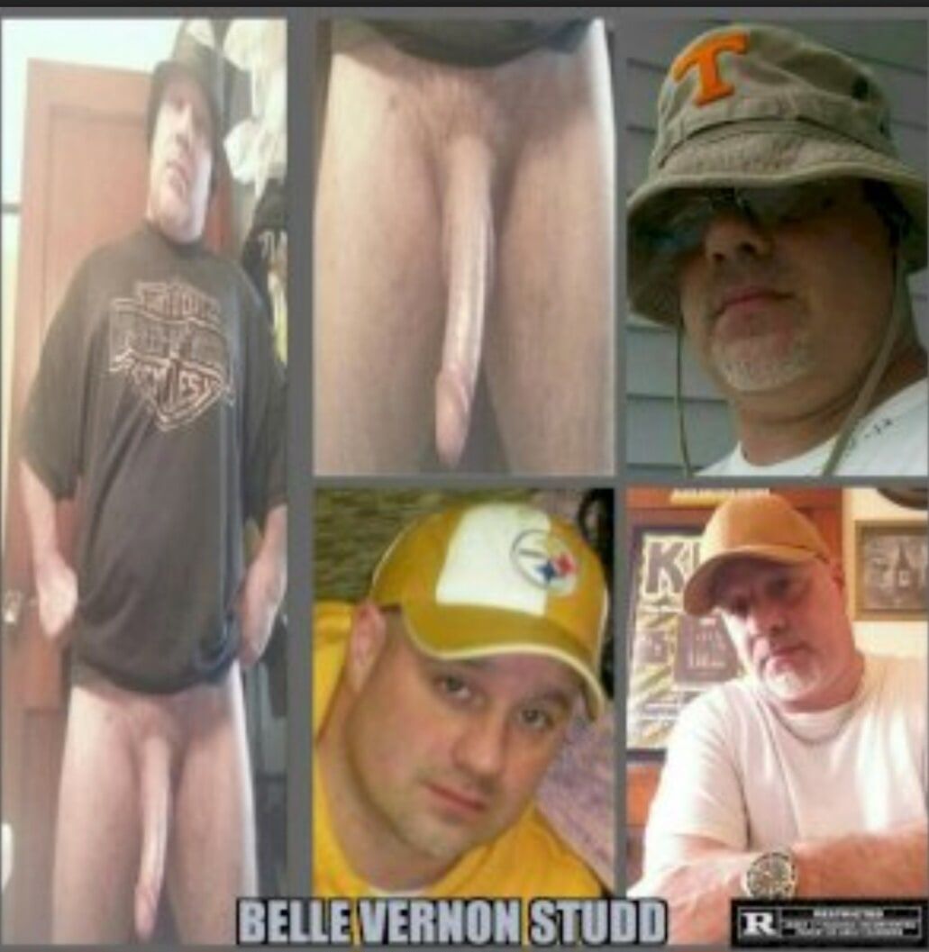 Belle Vernon, studdd