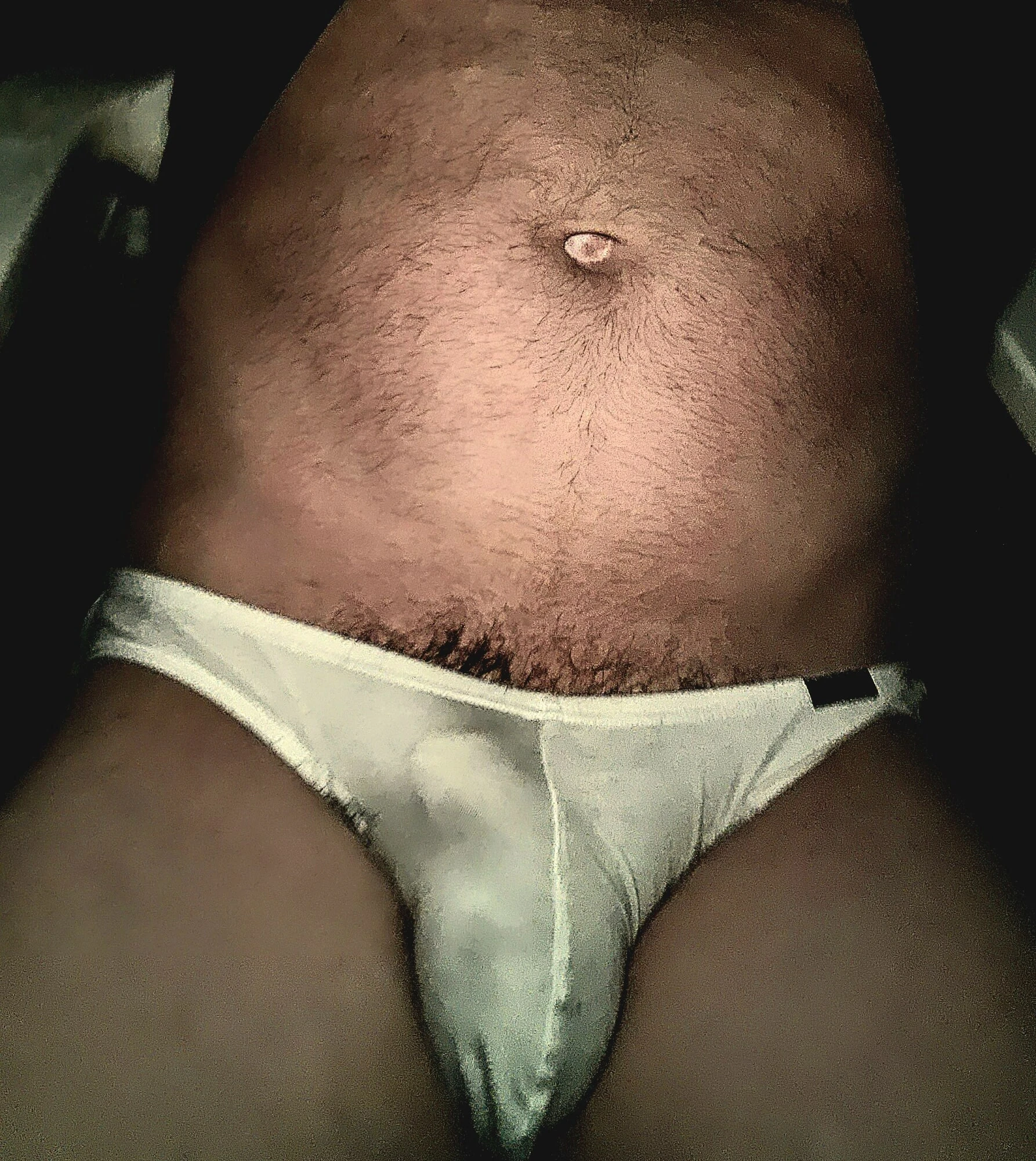 Kichkina külotdagi semiz mushuk, yaqin plandagi porno