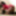 Melanie_Bee back in 2019