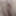 Pussy shows her pussy, all close up