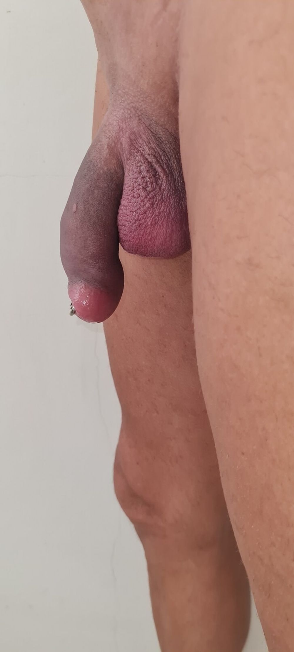 pumped cock 5 #31