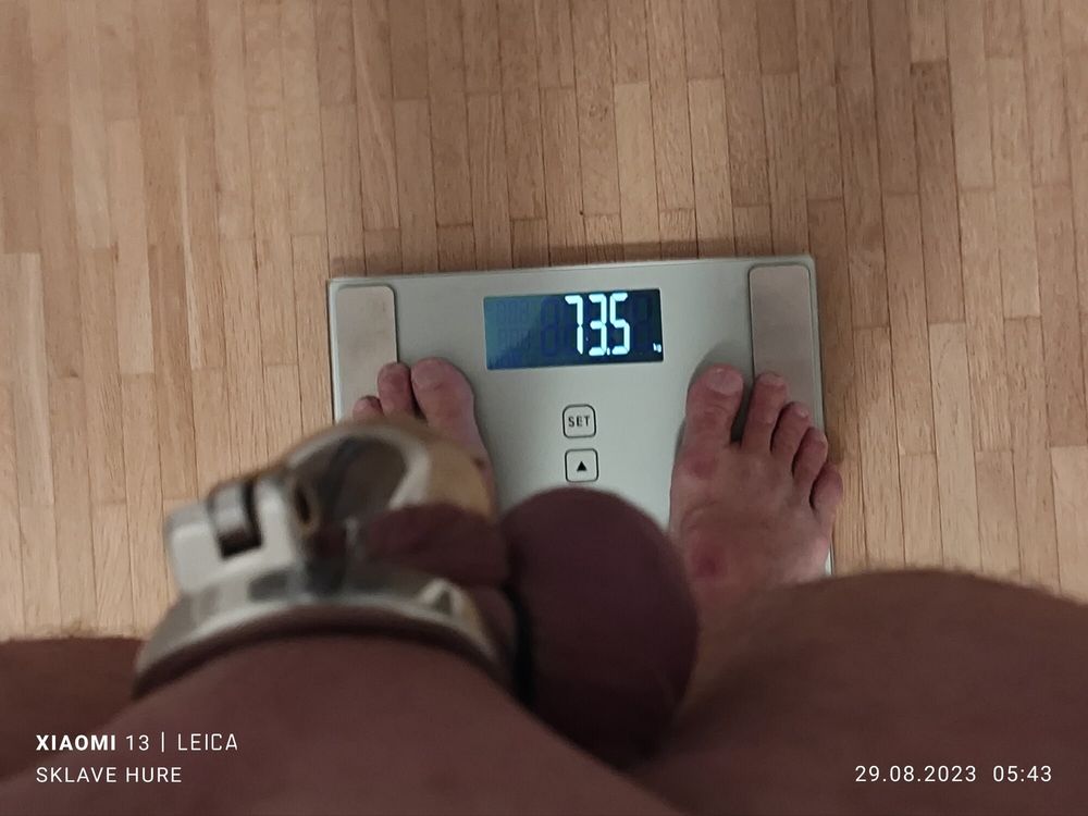 Weighing, Cagecheck, plugcheck August 29th, 2023 #19