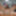 Tygra good dildo session #3