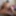 My Bodyscape photography