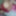 mi galeria #16