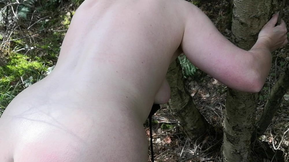 Naked Tits and Ass whipping in woods #16