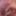 Uncle's picture gallery #2