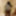 Black honey gets recorded as she showers #28