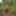 Fag Christoph Straubinger naked in the forest #18
