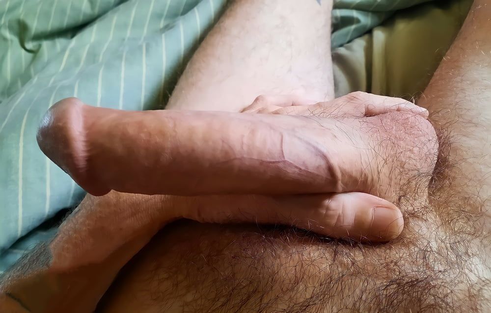Cock #3