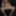 Tygra slut of guy dildos herself-