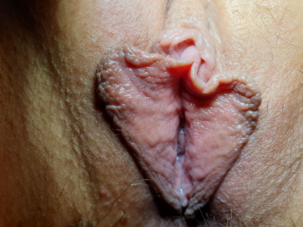 A Quick Close Up Pussy Shoot #5