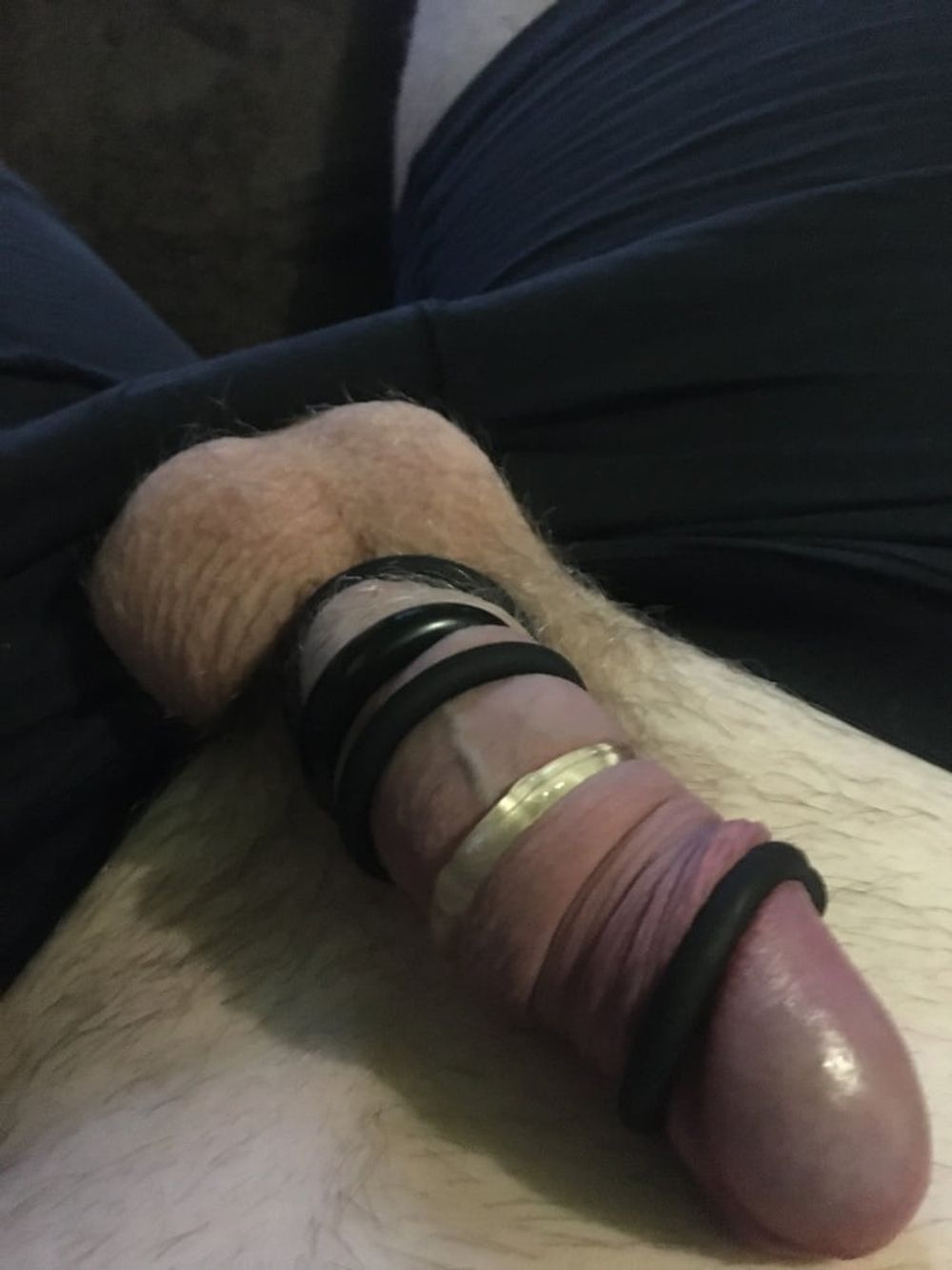 Cock With Rings #10