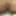 My pussy lips