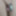 June 1. 2024 Daily duty of the naked slave #9