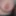 My Boobs
