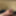 cock close up