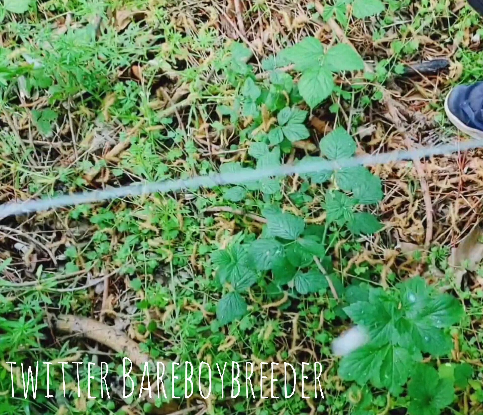 Outdoor Cumshot in the Forest – Mushroom Head Shoots Huge Lo #20