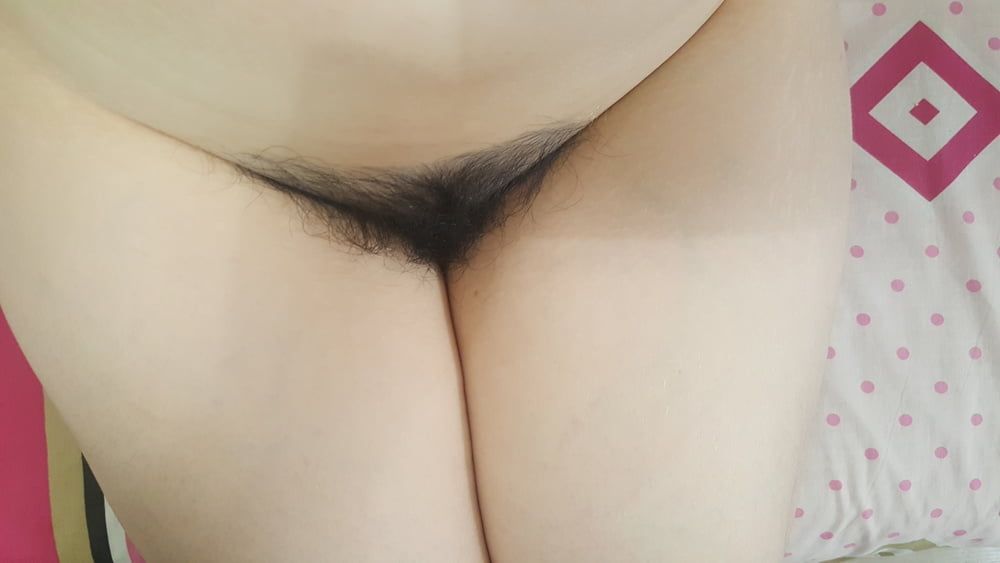 hairy pussy