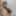 Kinky stepsister in fishnets uses a toy #6