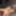 masturbation 