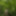 Wanking in the woods #9