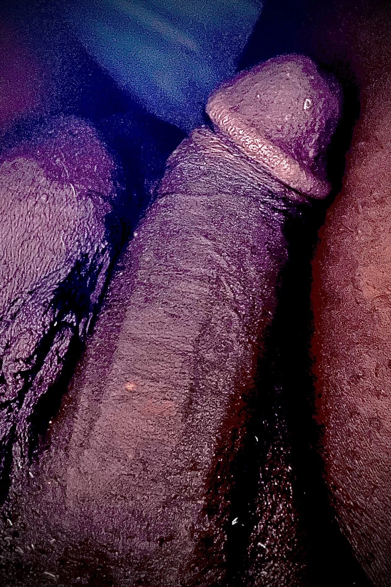 My cock