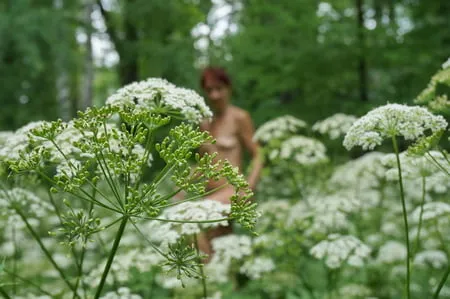 in white flowers           