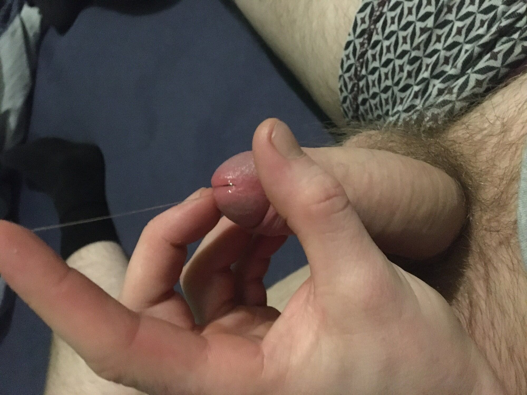 Hairy Dick And Balls Foreskin Pre-cum Play #8