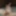 Sexy BBW Gets Fucked and Dildo