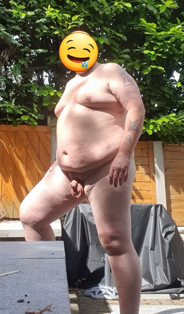 Fat bloke in the garden 