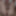 Horny duty Weighing, Cagecheck, plugcheck August 03, 2023 #17