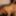 Annadevot: Gagged used by a big cock #5