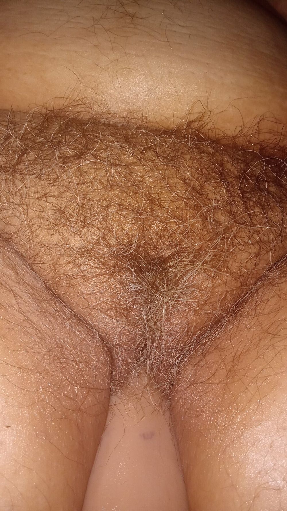 Solo.pelos hairy pussy #25