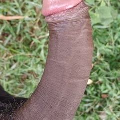 Zanima samo teta bhabhi