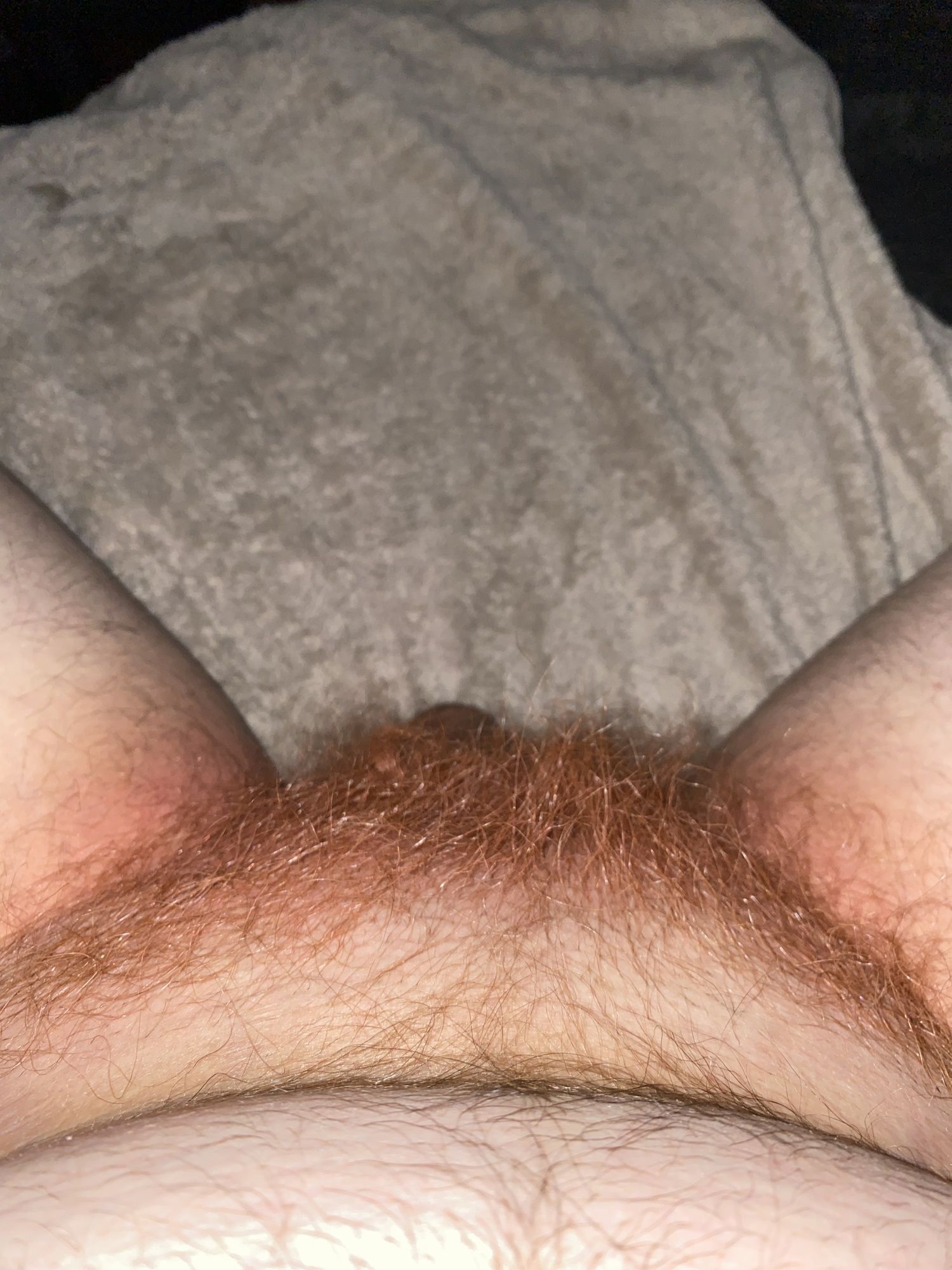 Hairy ginger cock
