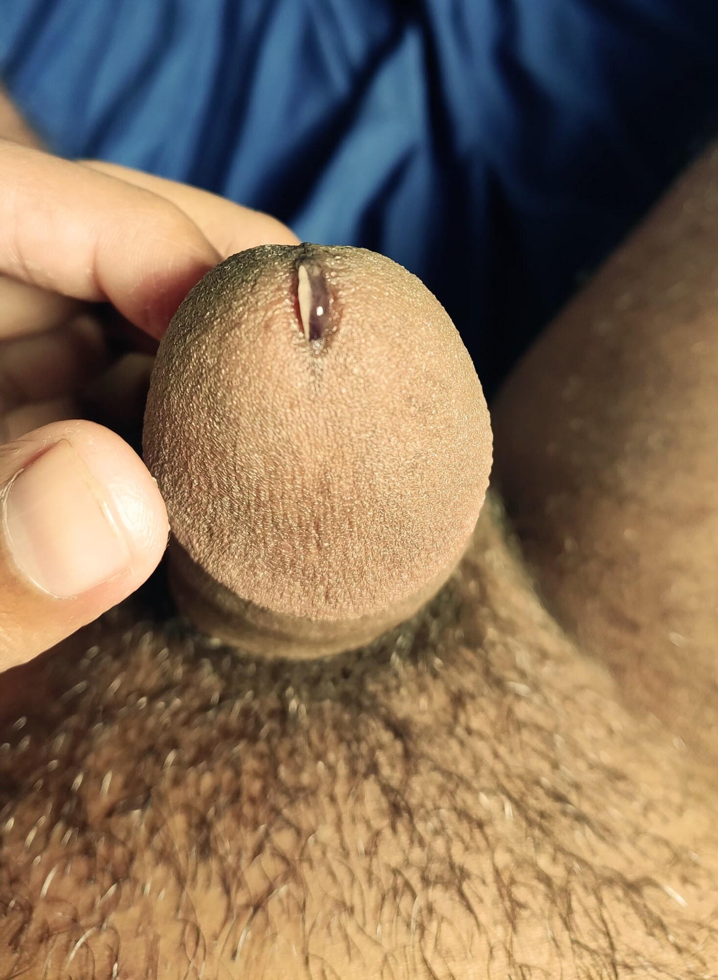 India Desi Boy Lund Picture 